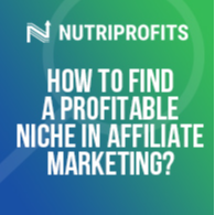 How to Find a Profitable Niche in Affiliate Marketing?