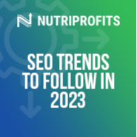 SEO Trends to Follow in 2023