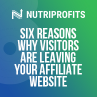 Six Reasons Why Visitors Are Leaving Your Affiliate Website
